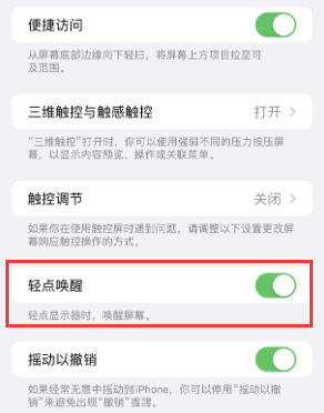 红星苹果授权维修站分享iPhone轻点无法唤醒怎么办 