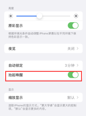 红星苹果授权维修站分享iPhone轻点无法唤醒怎么办