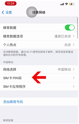 红星苹果14维修网分享如何给iPhone14的SIM卡设置密码 