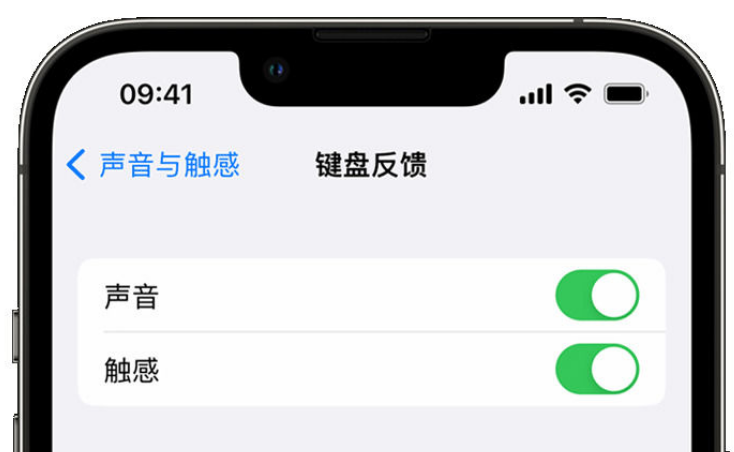 红星苹果手机维修分享iPhone 14触感键盘使用方法 