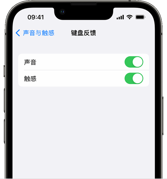 红星苹果14维修店分享如何在 iPhone 14 机型中使用触感键盘 