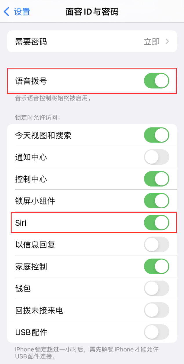 红星苹果维修网点分享不解锁 iPhone 的情况下通过 Siri 拨打电话的方法 