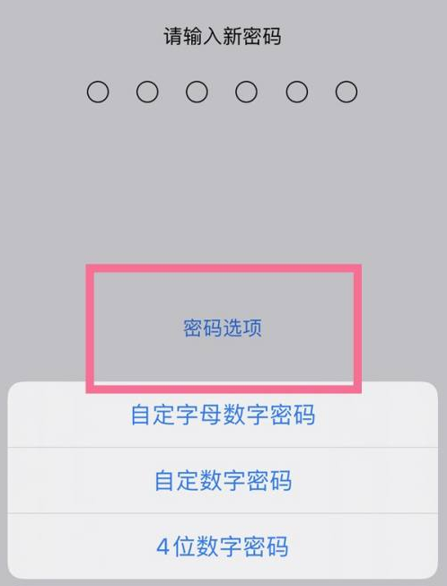 红星苹果14维修分享iPhone 14plus设置密码的方法 