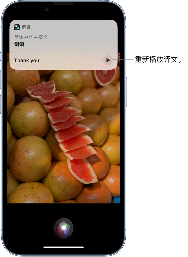 红星苹果14维修分享 iPhone 14 机型中使用 Siri：了解 Siri 能帮你做什么 