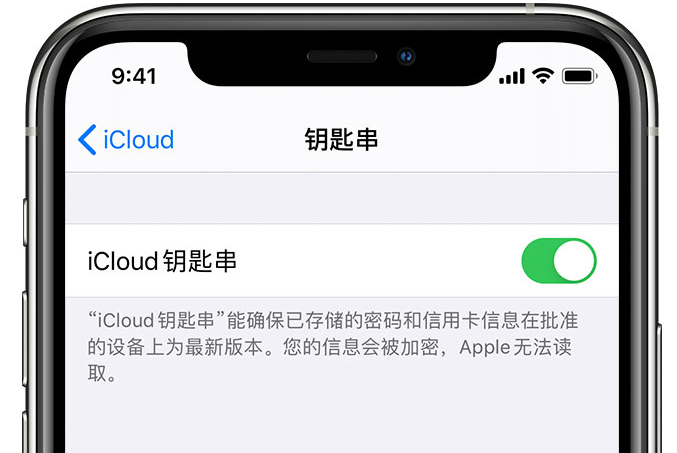 红星苹果手机维修分享在 iPhone 上开启 iCloud 钥匙串之后会储存哪些信息 