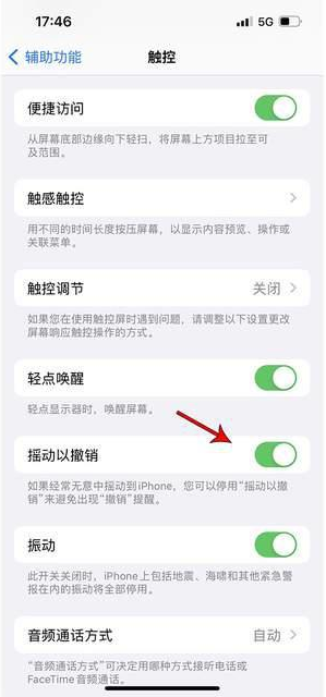 红星苹果手机维修分享iPhone手机如何设置摇一摇删除文字 